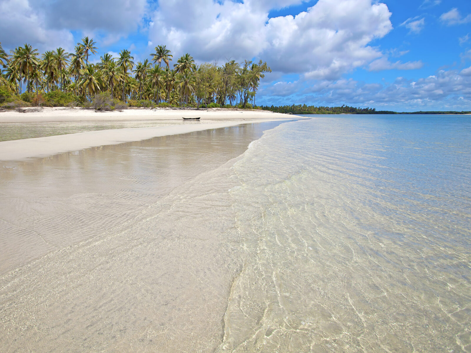 Untouched,Nature,At,Mafia,Island,In,Tanzania