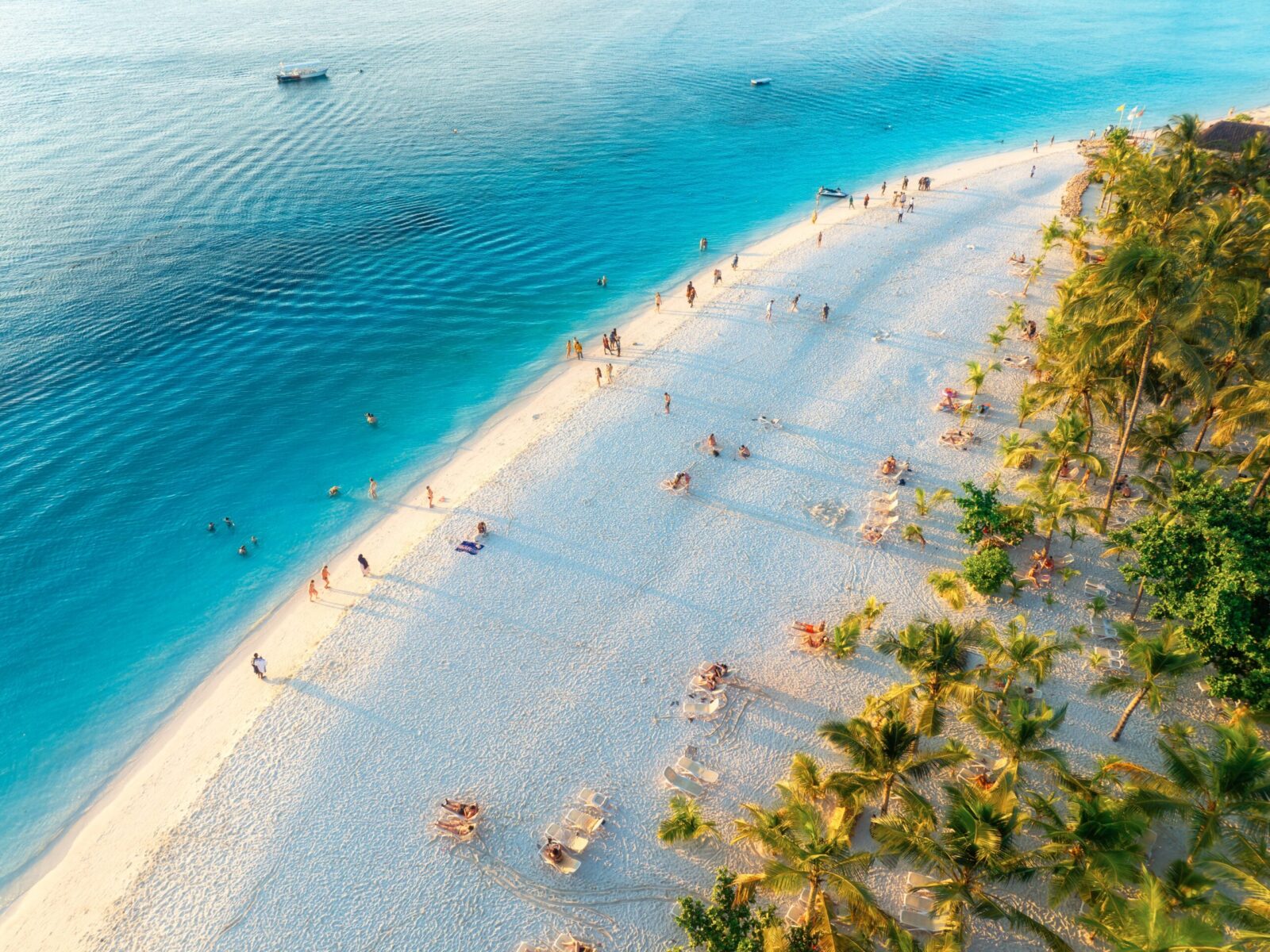 Aerial,View,Of,Green,Palm,Trees,,Umbrellas,On,The,Sandy