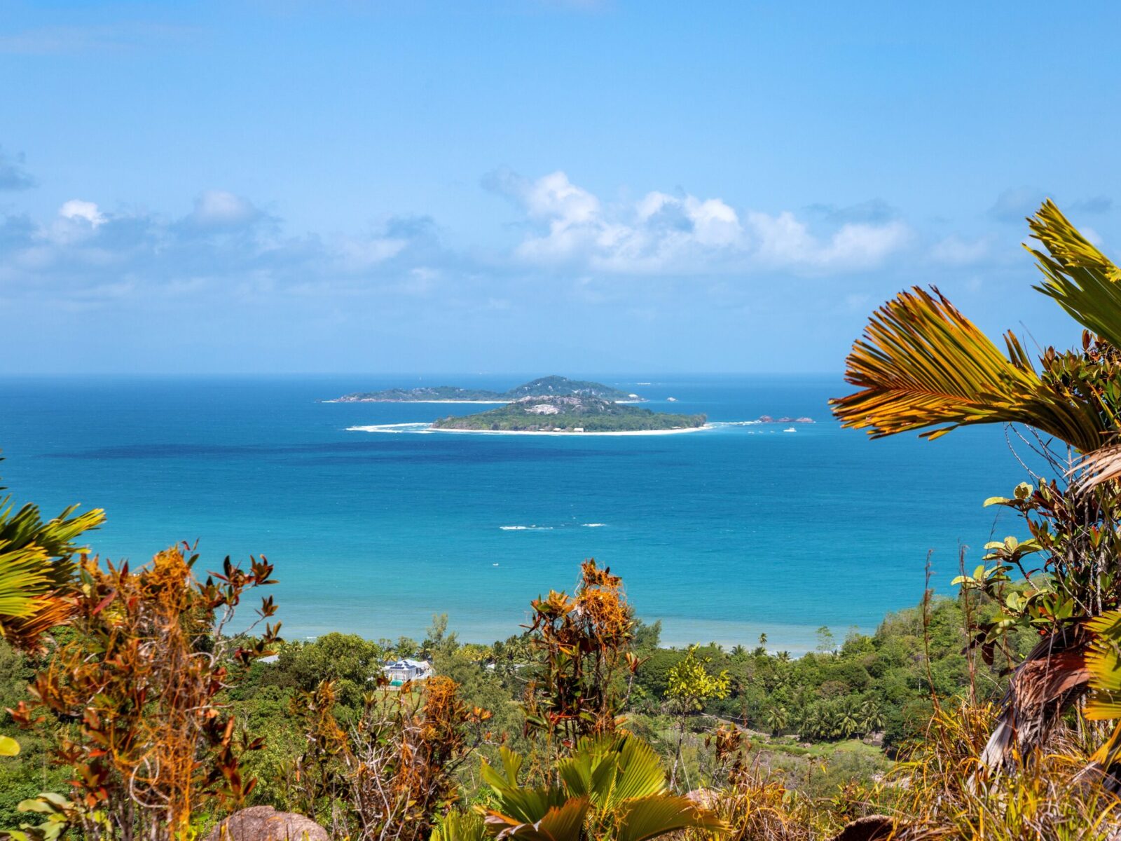 Islands,Cousin,And,Cousine,,Praslin,,Republic,Of,Seychelles,,Africa.,Islands