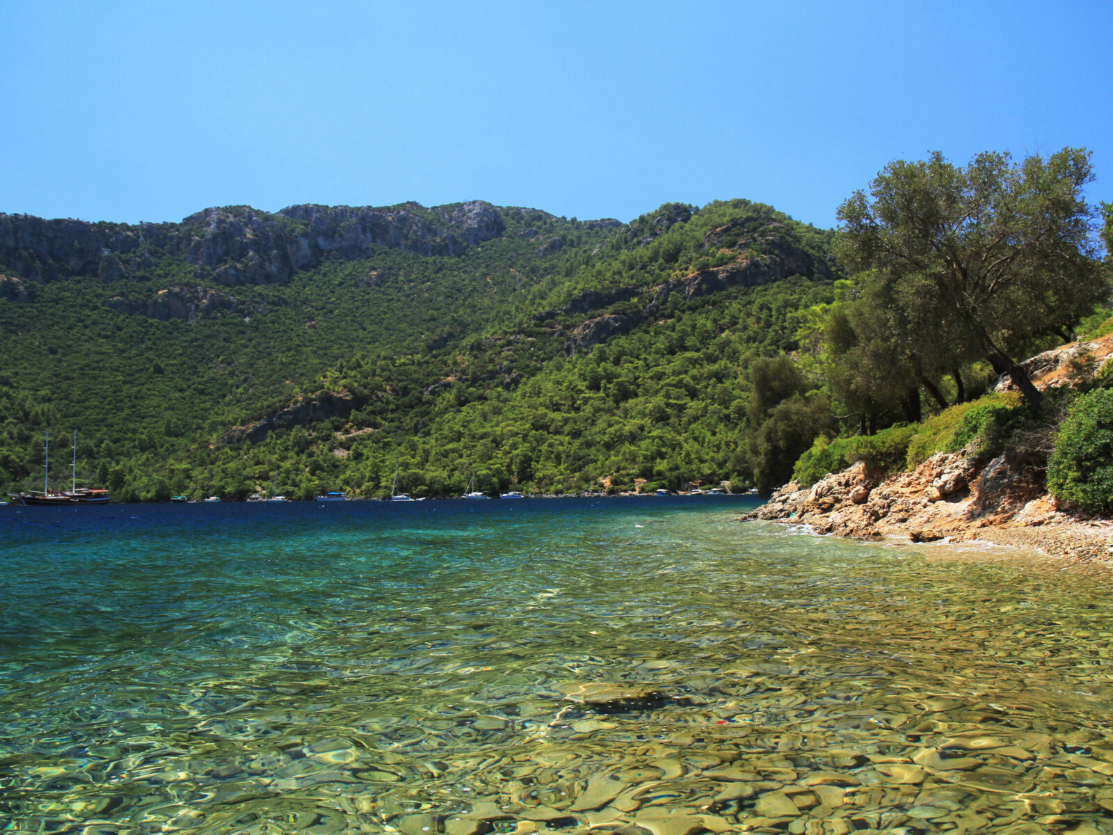 Gocek